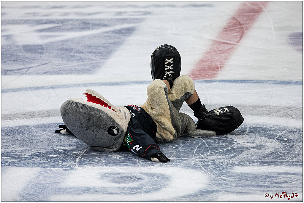 Koelner Haie - Pinguins Bremerhaven, 25.10.2016